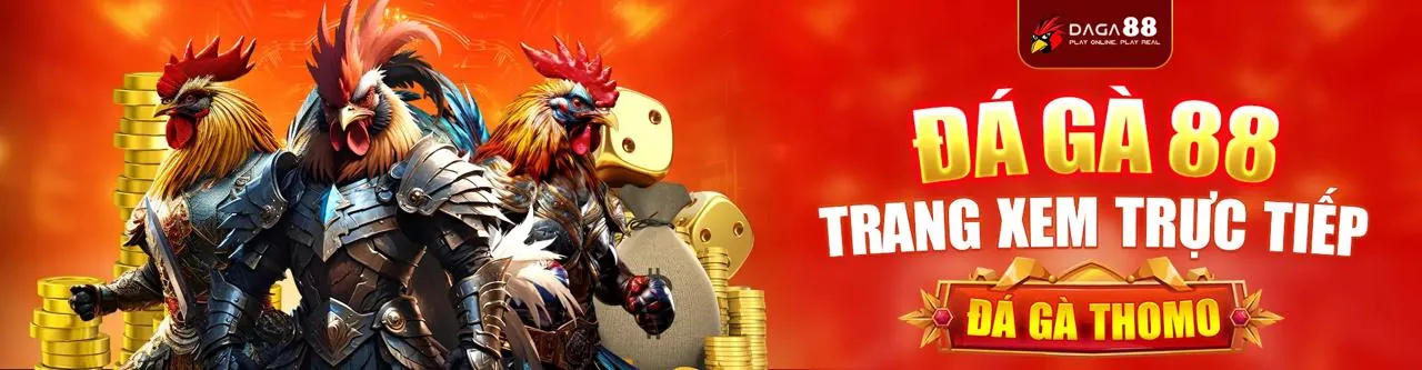 Sân đấu gà trực tuyến đầy kịch tính tại ACB888 Đá Gà